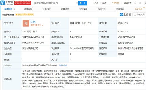 北京智行戰(zhàn)略布局湖南，投資新公司搶占信息系統(tǒng)集成服務(wù)市場(chǎng)